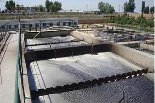 厭氧生物處理的影響因素有哪些？