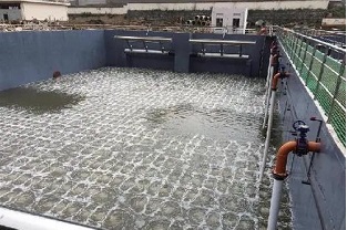 碳源的價格水漲船高，污水廠如何減少碳源投加量來降低成本？